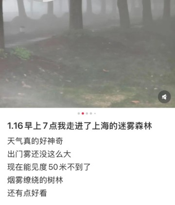 世俱杯投注-上海：入冬以来最强雨雪冰冻将袭！网友：没见过这么大雾，路口竟看不到红绿灯！